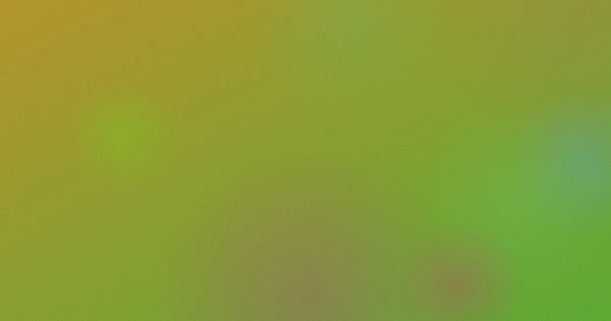 女生的逼推荐：新手学习清单